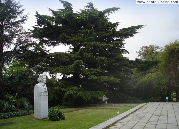 Monument H. Stevenu  creator of the Nikitsky Botanical Garden Autonomous Republic of Crimea Ukraine photos