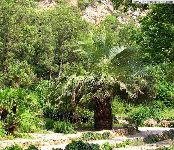 Nikitsky Botanical Garden Autonomous Republic of Crimea Ukraine photos