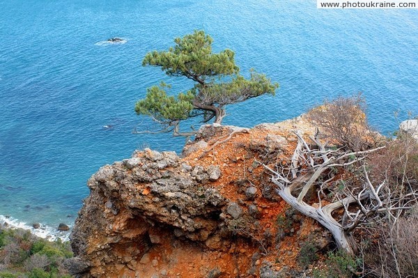 Nature Reserve Cape Martyan Autonomous Republic of Crimea Ukraine photos