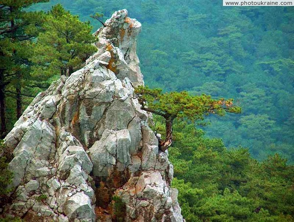 Yalta Reserve. Picturesque cliff Autonomous Republic of Crimea Ukraine photos