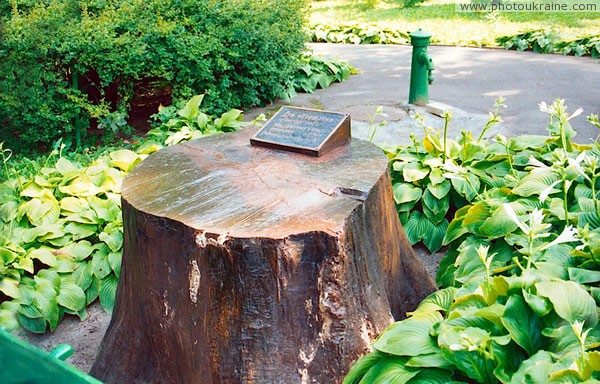 Vinnytsia. Memorable stump in Museum-estate of N. Pirogov Vinnytsia Region Ukraine photos