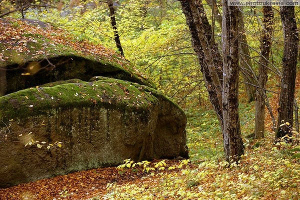 Busha. Sandstone boulders sometimes resemble cap of mushrooms Vinnytsia Region Ukraine photos