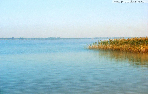 Shatsky park. Lake Svitiaz Volyn Region Ukraine photos