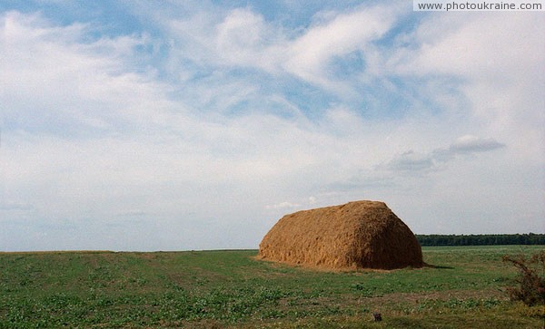 Result of harvesting Volyn Region Ukraine photos