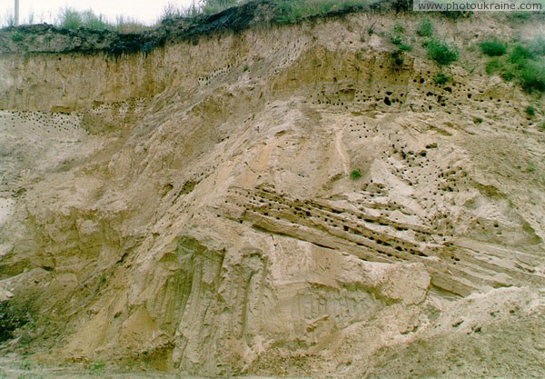 Kytayhorod. Swallows lived in quarry wall on mountain Kalitva Dnipropetrovsk Region Ukraine photos