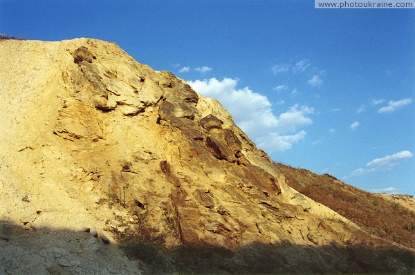 Oleksievo-Druzhkivka. Fossils on wall of quarry Donetsk Region Ukraine photos