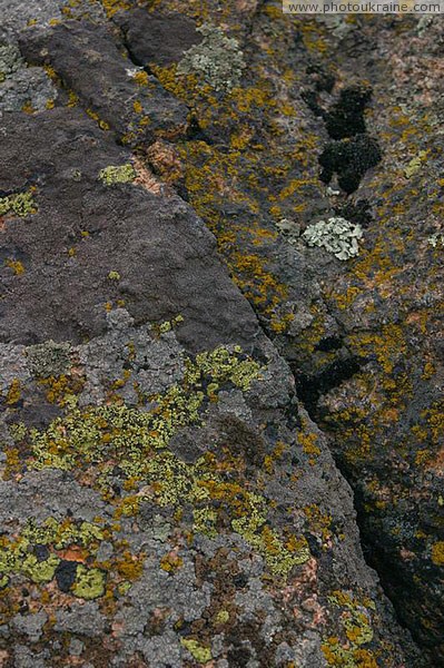 Kamiani Mohyly Reserve. Granite and lichens Donetsk Region Ukraine photos
