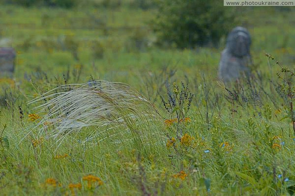 Kamiani Mohyly Reserve. Lone feather Donetsk Region Ukraine photos