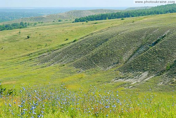 Kreidiana Flora Reserve. Sodded chalk downs Donetsk Region Ukraine photos