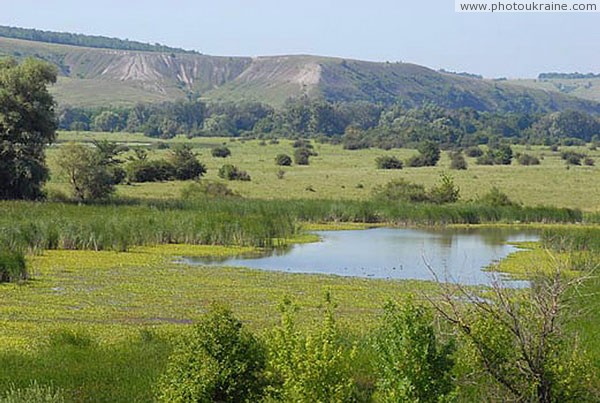 Kreidiana Flora Reserve. Prydonetska floodplain Donetsk Region Ukraine photos
