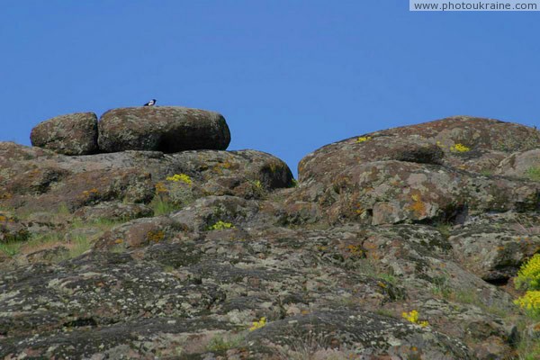 Starolaspa. Steppe granite outcrops Donetsk Region Ukraine photos