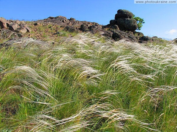 Feather-grass surrounding granites Donetsk Region Ukraine photos