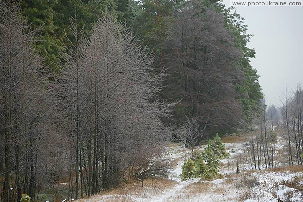 Poliskyi Reserve. Winter vista Zhytomyr Region Ukraine photos