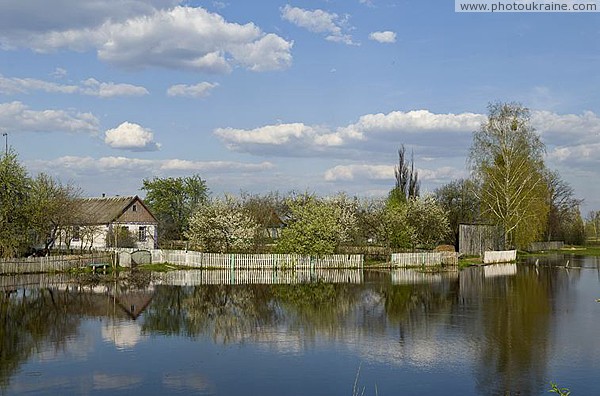 Flowering-floating woodlands village Zhytomyr Region Ukraine photos