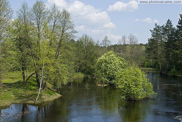 Enchanting beauty of river Ubort Zhytomyr Region Ukraine photos