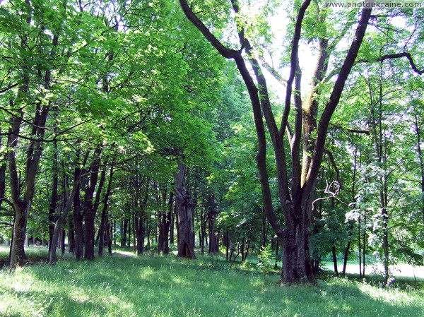 Ushomyr. In park Zhytomyr Region Ukraine photos