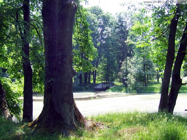 Ushomyr. Park pond Zhytomyr Region Ukraine photos