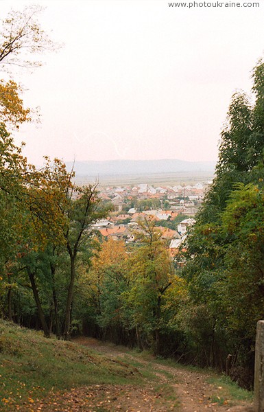 Korolevo. View of village from road to castle Zakarpattia Region Ukraine photos