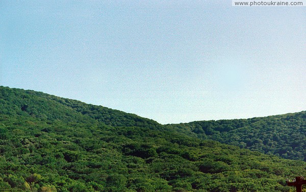Perechyn. Wooded slopes of range Sinatoria Zakarpattia Region Ukraine photos