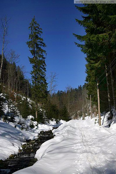 Reserve Synevyr. Winter Journey in Gorgany Zakarpattia Region Ukraine photos