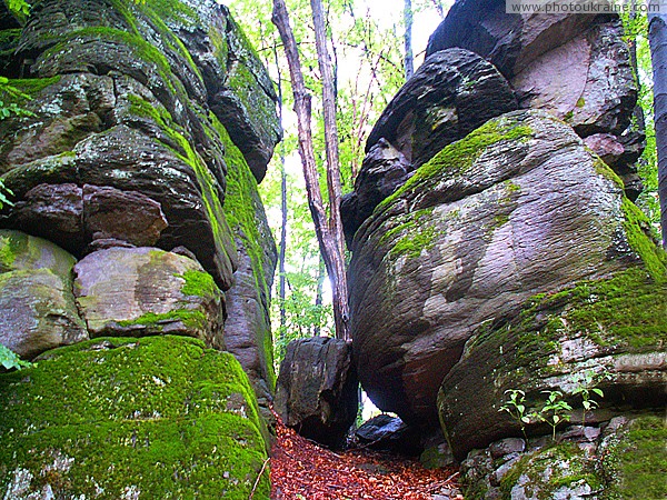 Syniak. Rocks Blue Stone Zakarpattia Region Ukraine photos