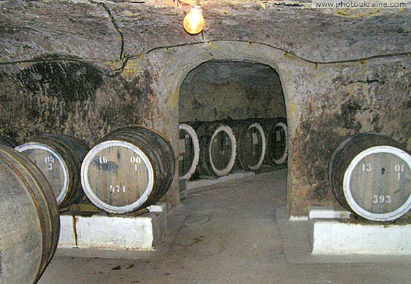 Seredne. Wine Cellars plant 