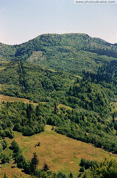 Uzhanskyi Reserve. Mount Blyshnia (1040 m) Zakarpattia Region Ukraine photos