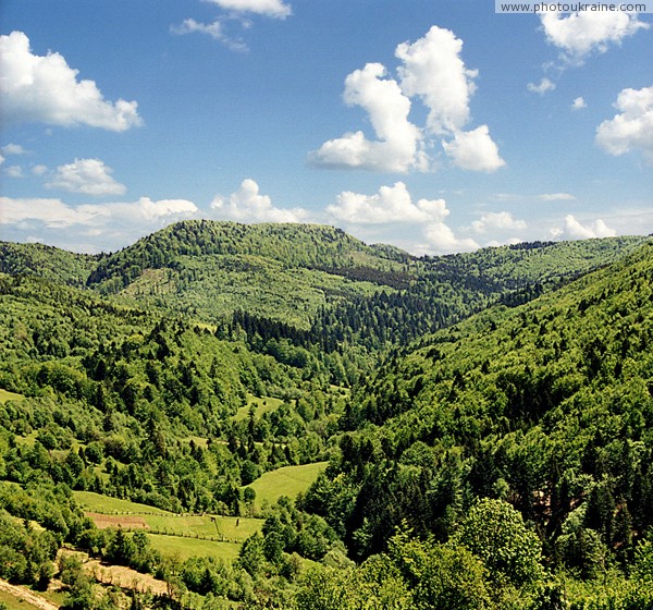 Uzhanskyi Reserve. In right-bank part of park Zakarpattia Region Ukraine photos