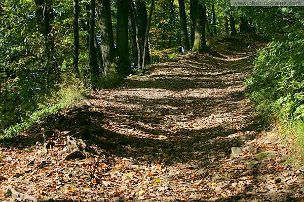 Hust. Forest road to ruins of castle Hust Zakarpattia Region Ukraine photos