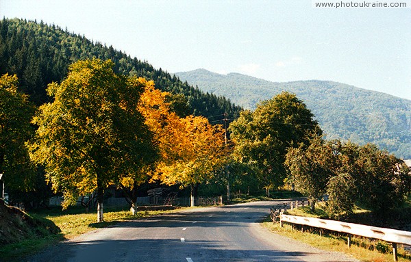 Kostylivka. Road and early autumn Zakarpattia Region Ukraine photos