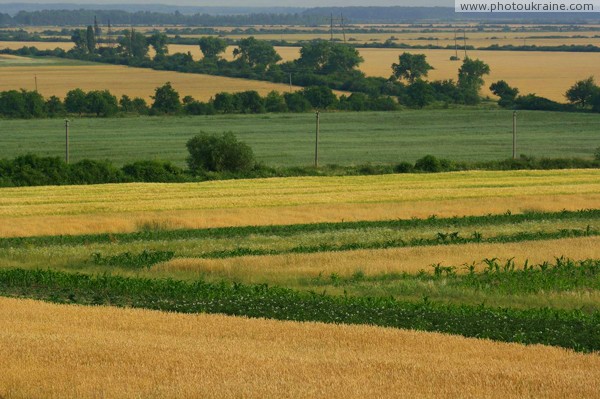 Agricultural holdings Zakarpattia Region Ukraine photos