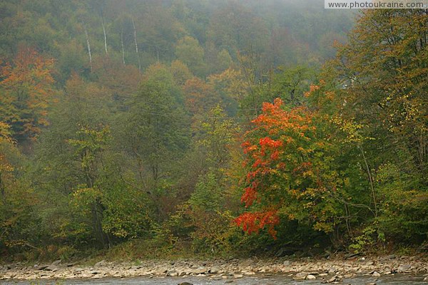 First autumn strokes of nature on river Tisa Zakarpattia Region Ukraine photos