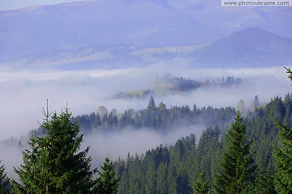 Upper reaches of Tisa river valley hid fog Zakarpattia Region Ukraine photos