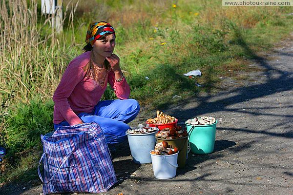 Hust. Here mushroom for every taste Zakarpattia Region Ukraine photos