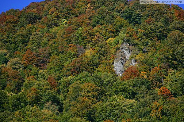 Meadow. Rocky dab into palette of early autumn Zakarpattia Region Ukraine photos