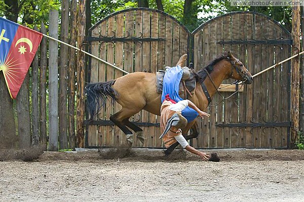 Zaporizhzhia. Horse theater  grab hat and do not fall Zaporizhzhia Region Ukraine photos
