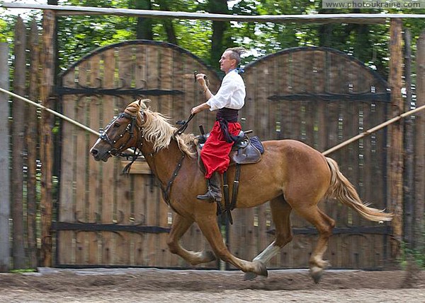 Zaporizhzhia. Horse theatre  swift sword Zaporizhzhia Region Ukraine photos