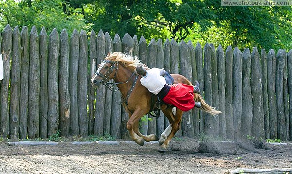 Zaporizhzhia. Horse theatre  famously latched Zaporizhzhia Region Ukraine photos