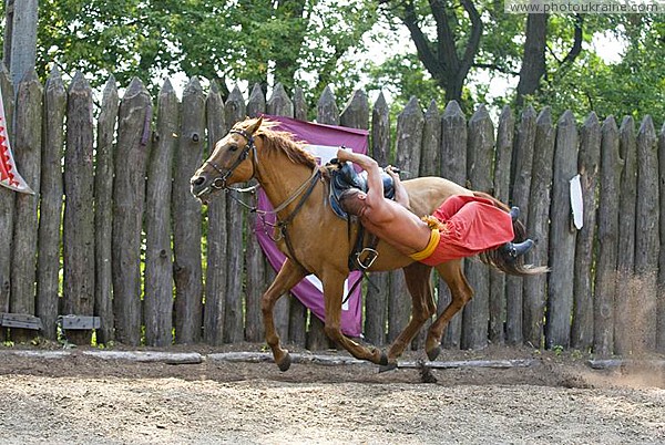 Zaporizhzhia. Horse theatre  parallel course Zaporizhzhia Region Ukraine photos