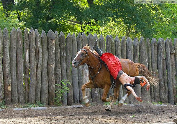 Zaporizhzhia. Horse theatre  cap would not lose Zaporizhzhia Region Ukraine photos