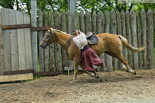 Zaporizhzhia. Horse theatre  jump on bandwagon Zaporizhzhia Region Ukraine photos