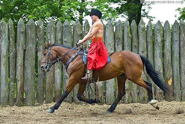 Zaporizhzhia. Horse theatre  graceful reprieve Zaporizhzhia Region Ukraine photos