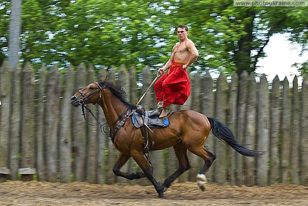 Zaporizhzhia. Horse theatre  most powerful actor Zaporizhzhia Region Ukraine photos