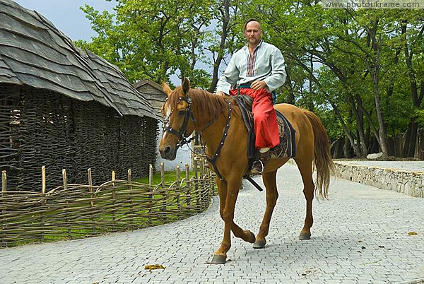Zaporizhzhia. Horse theatre  looking surprised hooves on pavement Zaporizhzhia Region Ukraine photos
