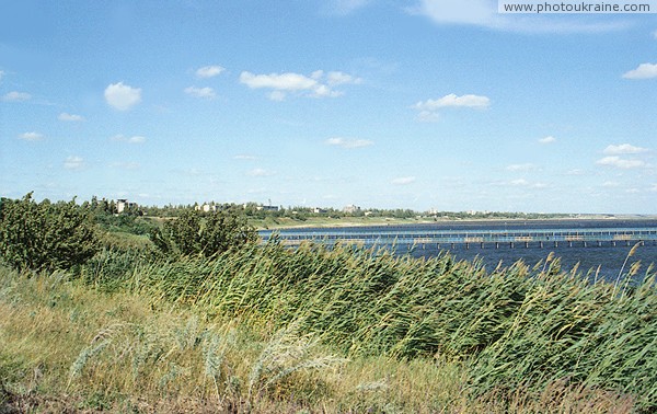 Prymorsk. Coastal reeds of Azov Sea Zaporizhzhia Region Ukraine photos