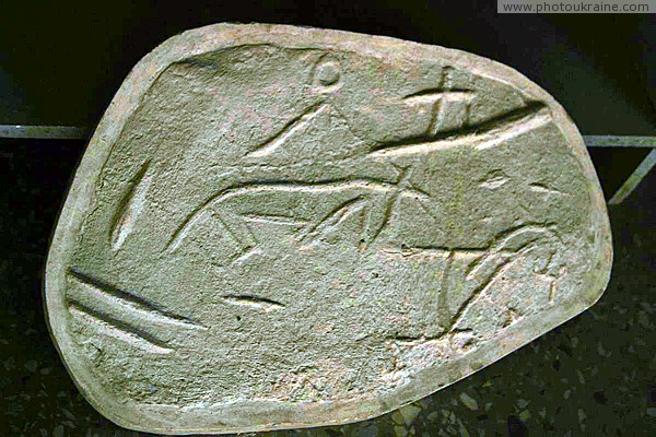 Terpinnia. Fragment petroglyphs Stone Grave Zaporizhzhia Region Ukraine photos