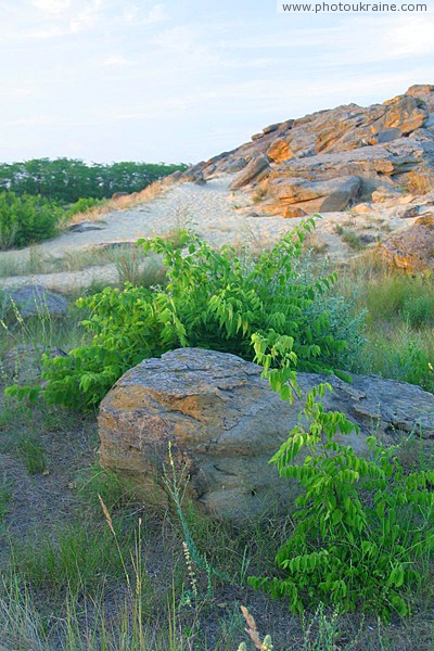 Terpinnia. Vegetation inhibits sand from erosion Zaporizhzhia Region Ukraine photos
