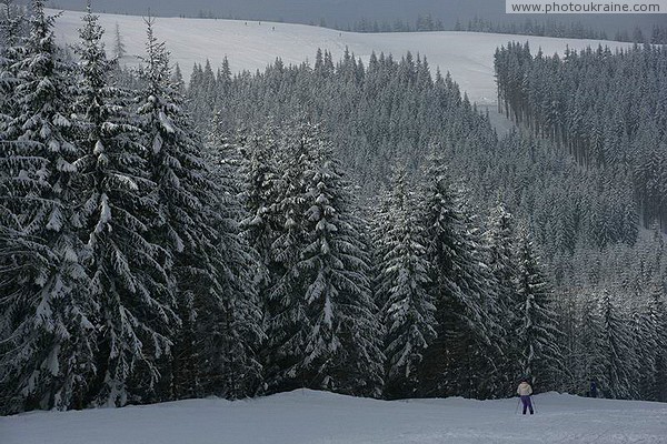Bukovel. Alpine solitude Ivano-Frankivsk Region Ukraine photos