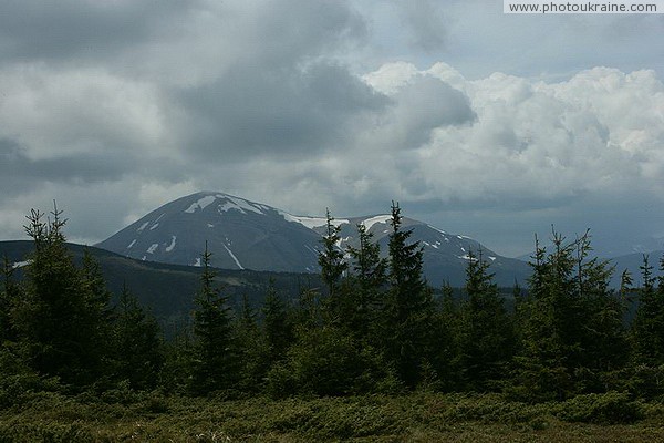Carpathian NNP. Cloudy mountain coniferous pie Ivano-Frankivsk Region Ukraine photos