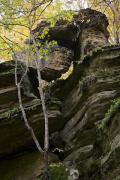 Busha. Funny rock in Gaydamak Yar, Vinnytsia Region, Geological sightseeing 